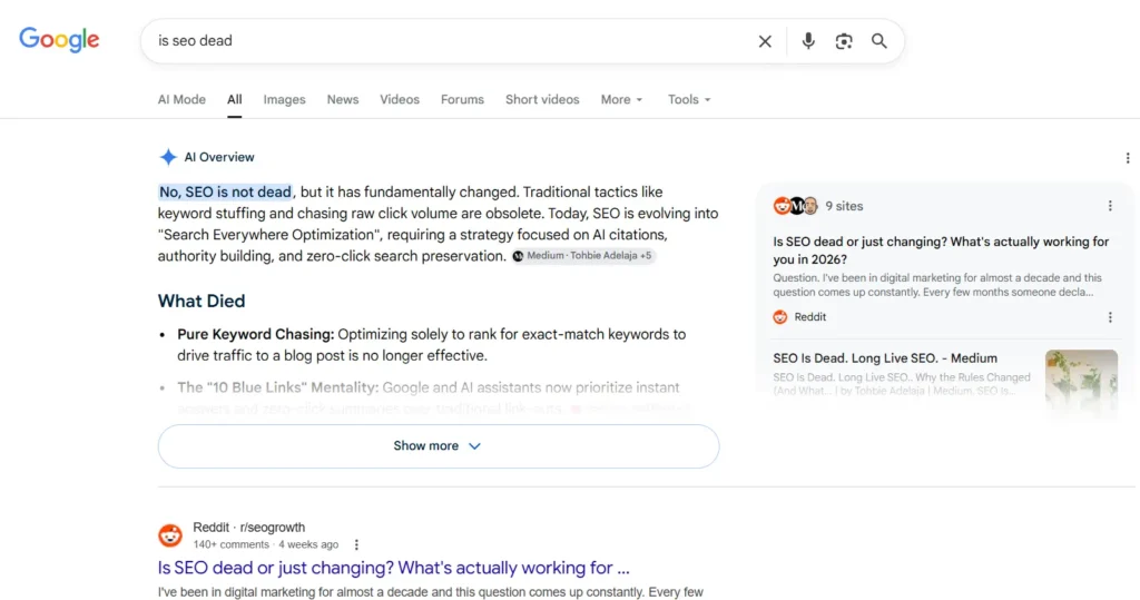 seo is dead screen shot from google